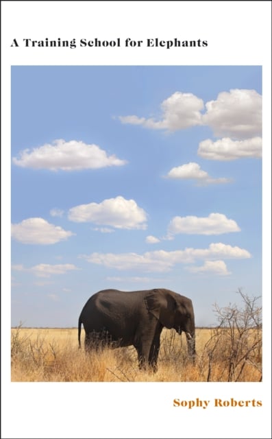 Book cover of A Training School for Elephants