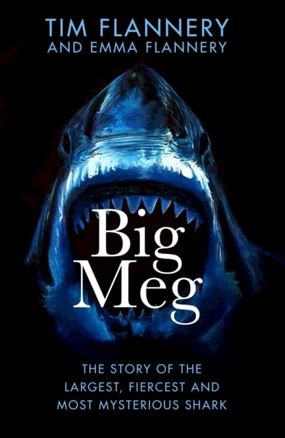 Book cover of Big Meg