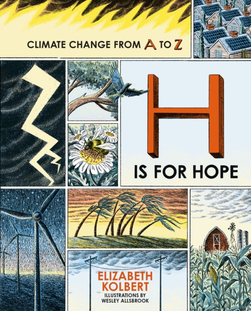 Book cover of H is for Hope