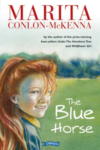 Book cover of The Blue Horse