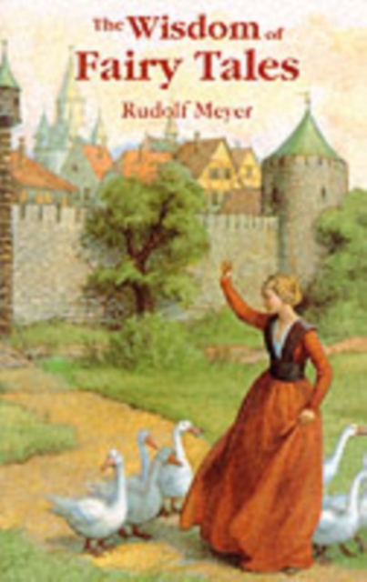 Book cover of The Wisdom of Fairy Tales