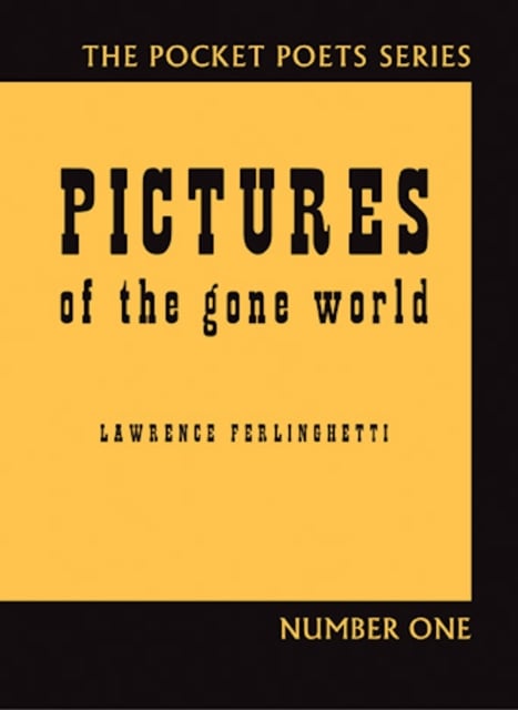 Book cover of Pictures of the Gone World