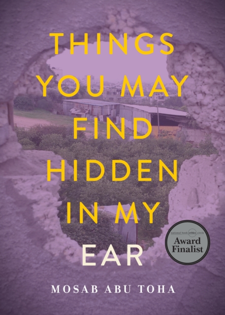 Book cover of Things You May Find Hidden in My Ear