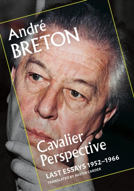 Book cover of Cavalier Perspective