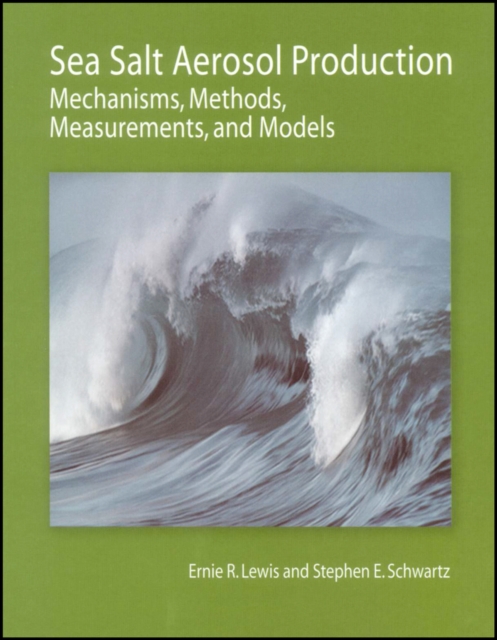 Book cover of Sea Salt Aerosol Production