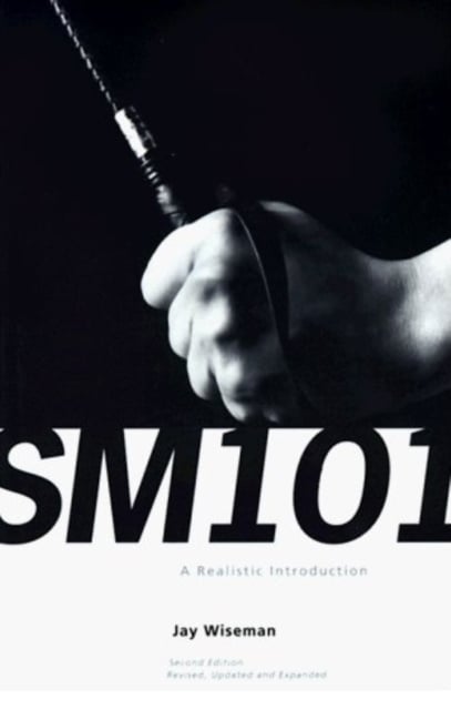 Book cover of SM 101: A Realistic Introduction