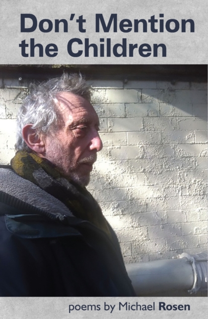 Book cover of Don't Mention the Children