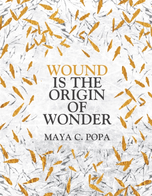 Book cover of Wound is the Origin of Wonder