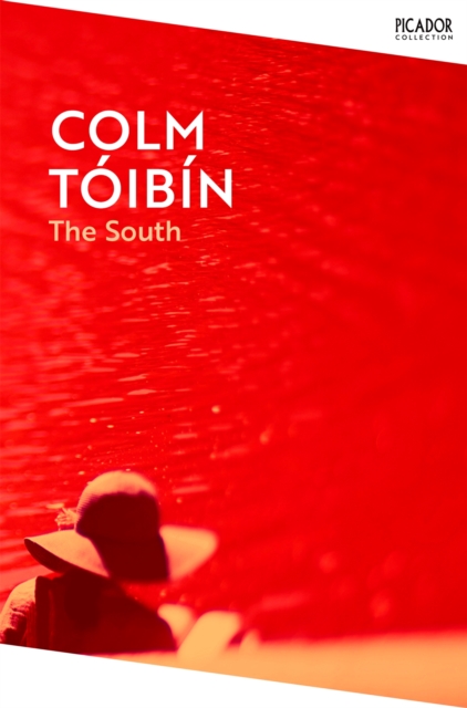 Book cover of The South