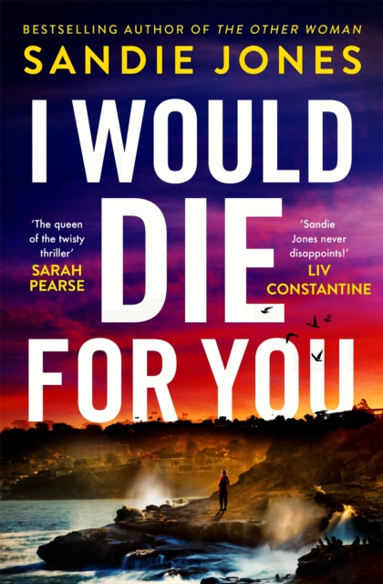 Book cover of I Would Die For You