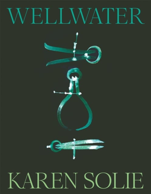 Book cover of Wellwater