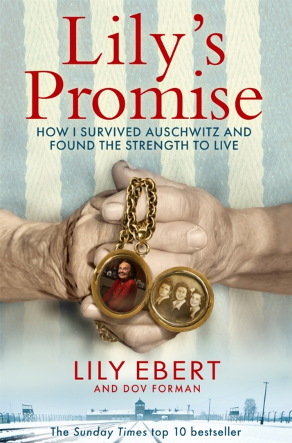 Book cover of Lily's Promise
