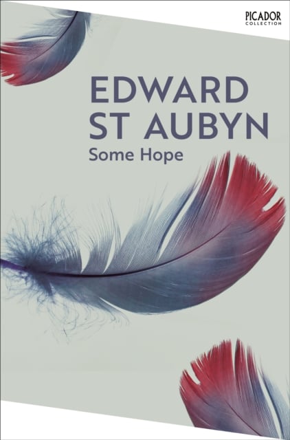 Book cover of Some Hope