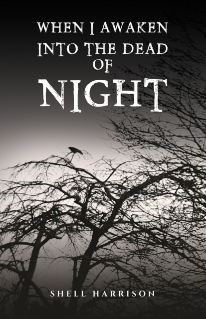 Book cover of When I Awaken Into The Dead of Night