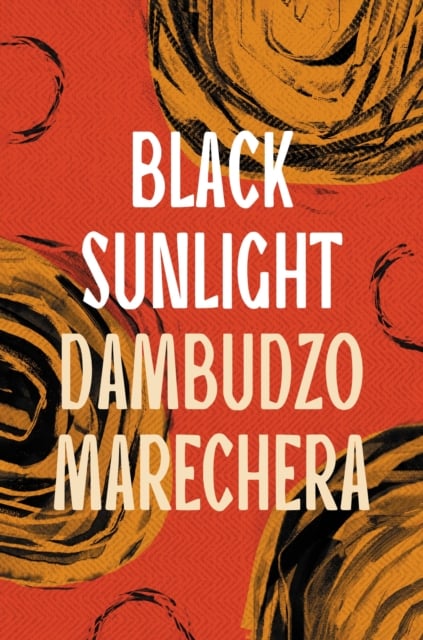 Book cover of Black Sunlight