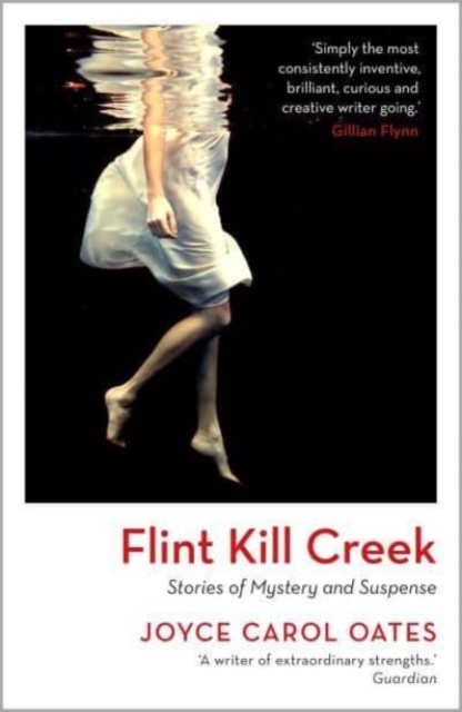 Book cover of Flint Kill Creek