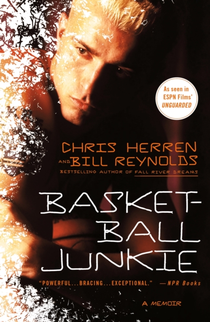 Book cover of Basketball Junkie