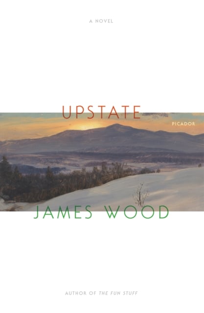 Book cover of Upstate