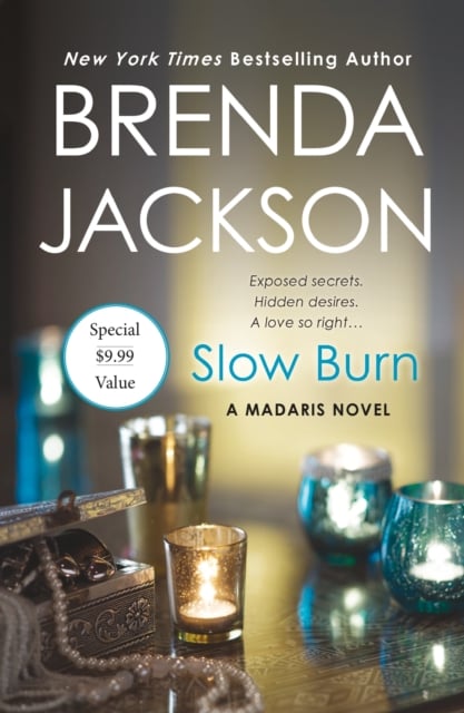 Book cover of Slow Burn
