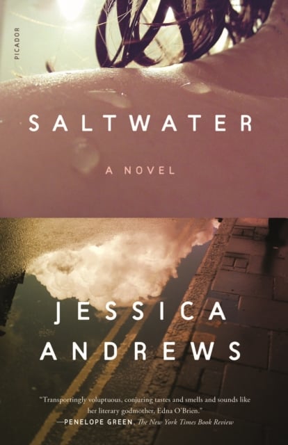 Book cover of Saltwater
