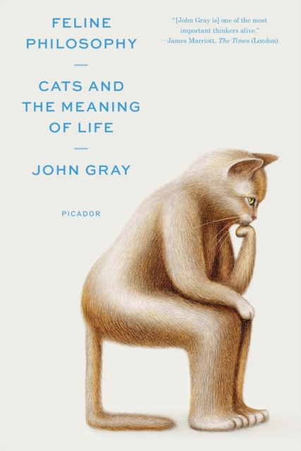Book cover of Feline Philosophy