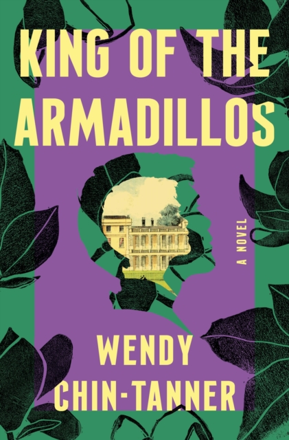 Book cover of King of the Armadillos