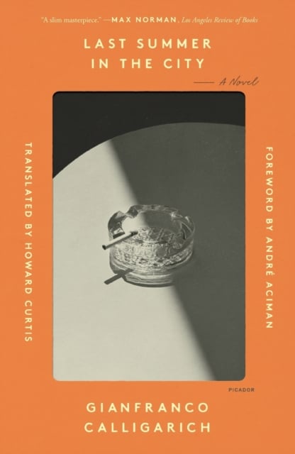 Book cover of Last Summer in the City