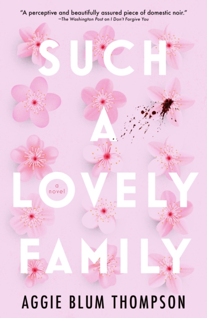 Book cover of Such a Lovely Family