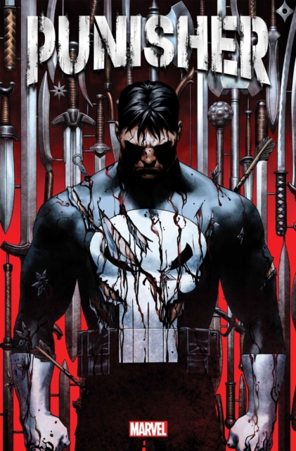 Book cover of Punisher Vol. 1