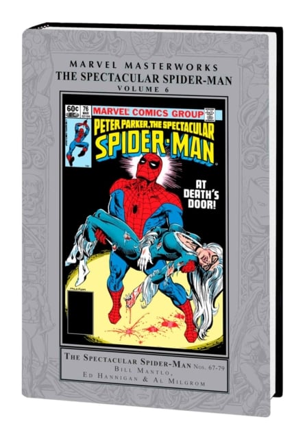 Book cover of Marvel Masterworks: The Spectacular Spider-Man Vol. 6