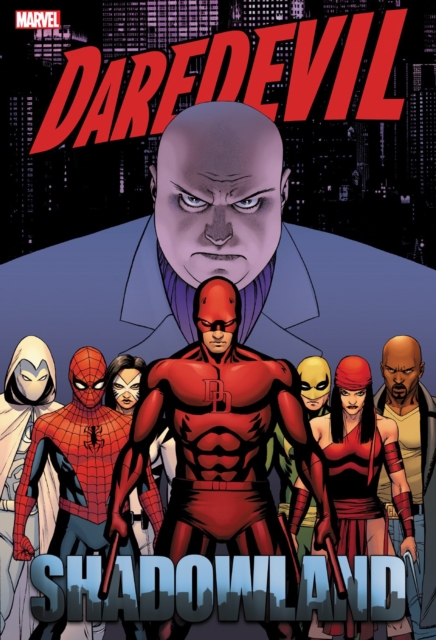 Book cover of Daredevil: Shadowland Omnibus Cassaday Cover (New Printing)