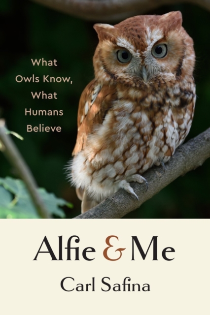 Book cover of Alfie and Me