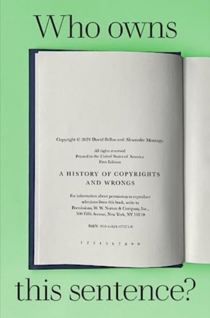 Book cover of Who Owns This Sentence?