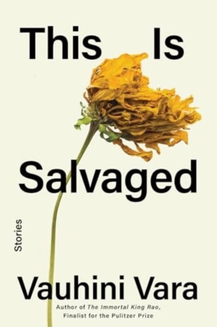 Book cover of This Is Salvaged - Stories