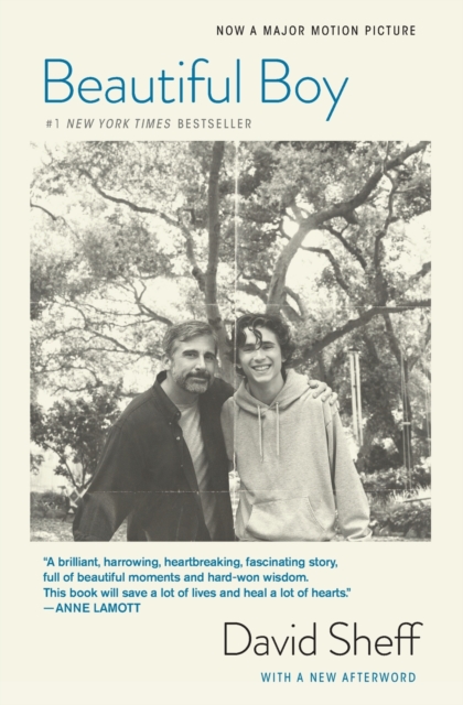 Book cover of Beautiful Boy