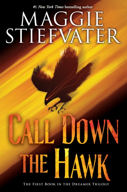 Book cover of Call Down the Hawk (The Dreamer Trilogy, Book 1)