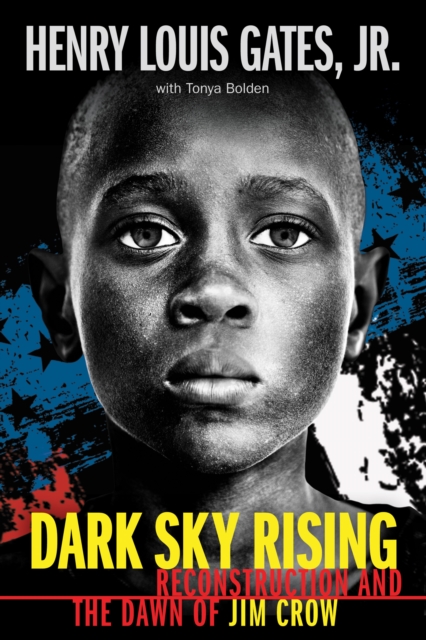 Book cover of Dark Sky Rising: Reconstruction and the Dawn of Jim Crow (Scholastic Focus)