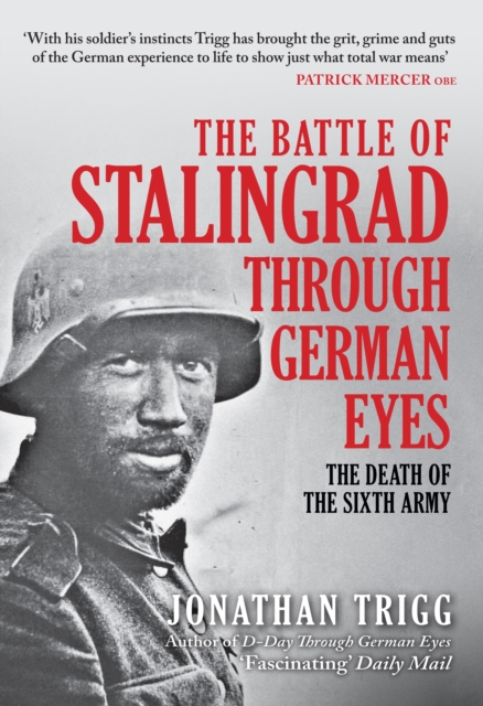 Book cover of The Battle of Stalingrad Through German Eyes