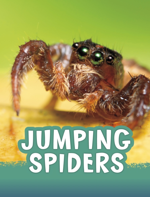 Book cover of Jumping Spiders