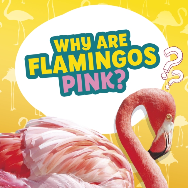 Book cover of Why Are Flamingos Pink?