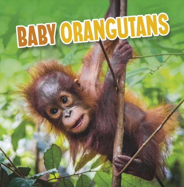 Book cover of Baby Orangutans