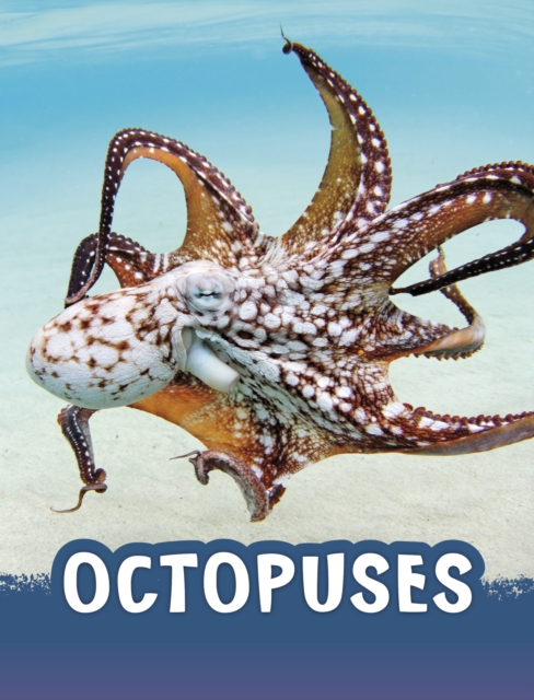 Book cover of Octopuses