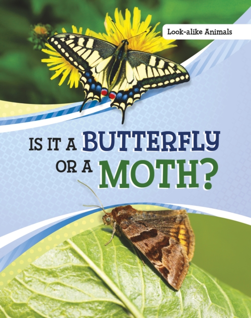 Book cover of Is It a Butterfly or a Moth?