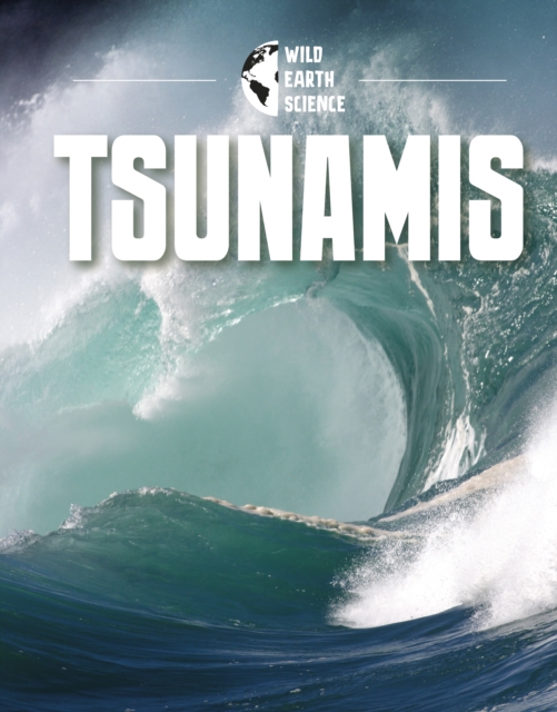 Book cover of Tsunamis