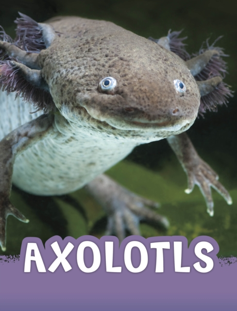 Book cover of Axolotls