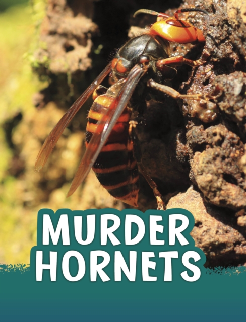 Book cover of Murder Hornets