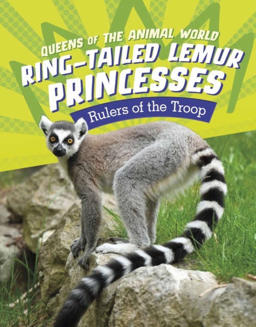 Book cover of Ring-Tailed Lemur Princesses