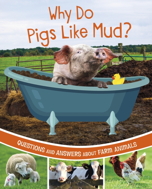 Book cover of Why Do Pigs Like Mud?