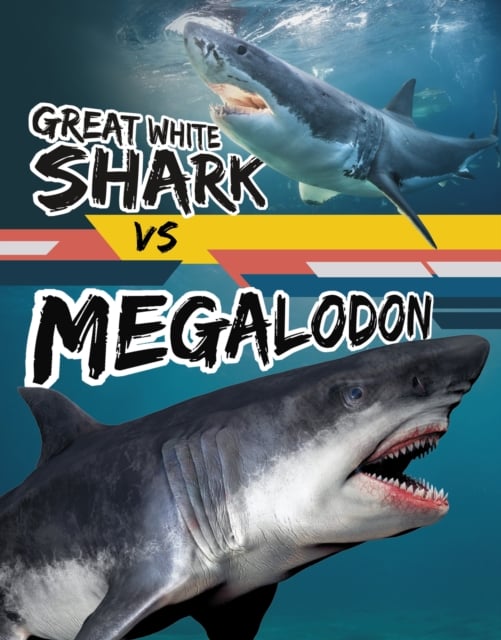 Book cover of Great White Shark vs Megalodon