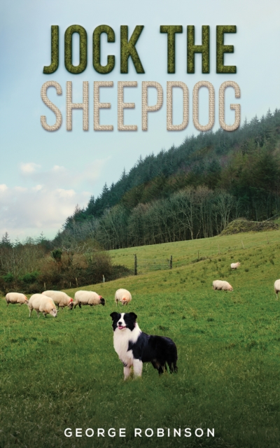 Book cover of Jock the Sheepdog